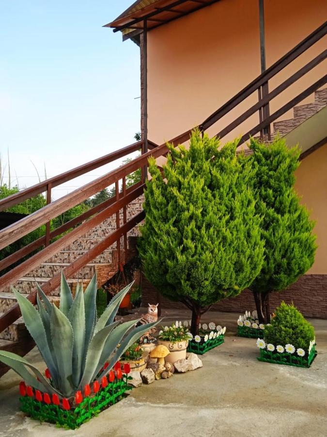 Hotel Изабелла Picunda Zewnętrze zdjęcie